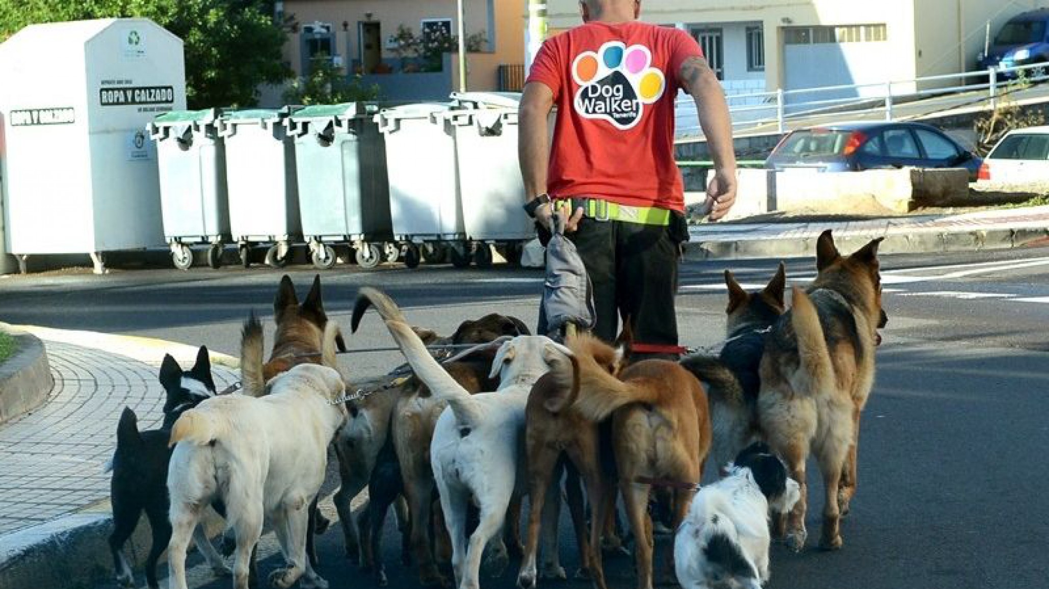 El Sindicato de paseadores de perros piden ser considerados un servicio esencial