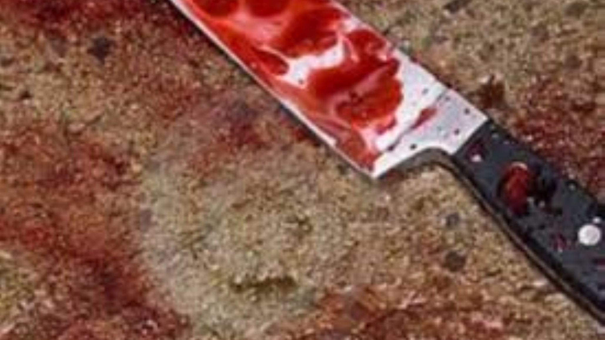 La joven que apuñaló 30 veces a su novio sexagenario tenía antecedentes