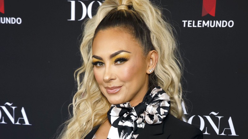 Aracely Arámbula palpitó el fin de semana con una sensual bikini