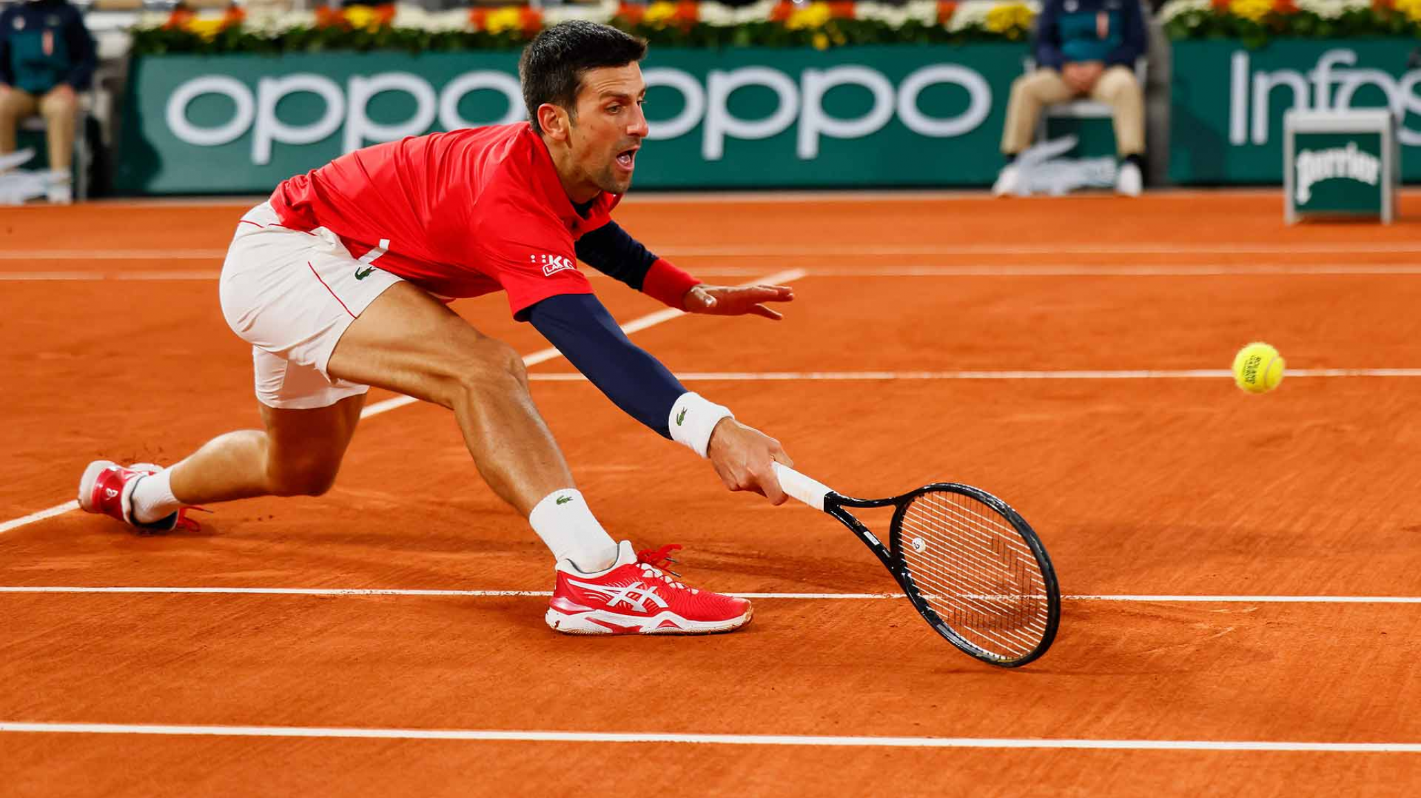 Video: Novak Djokovic volvió a darle un pelotazo a un juez