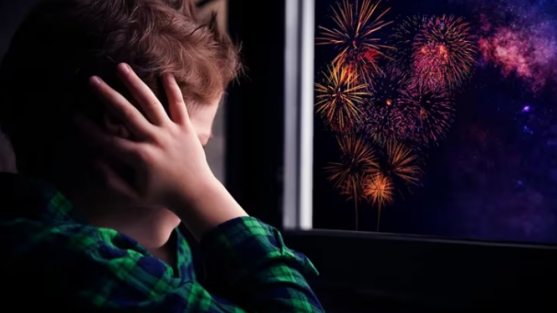 Madres de niños con autismo impulsan el regreso a la ordenanza de "Pirotecnia Cero" en Comodoro