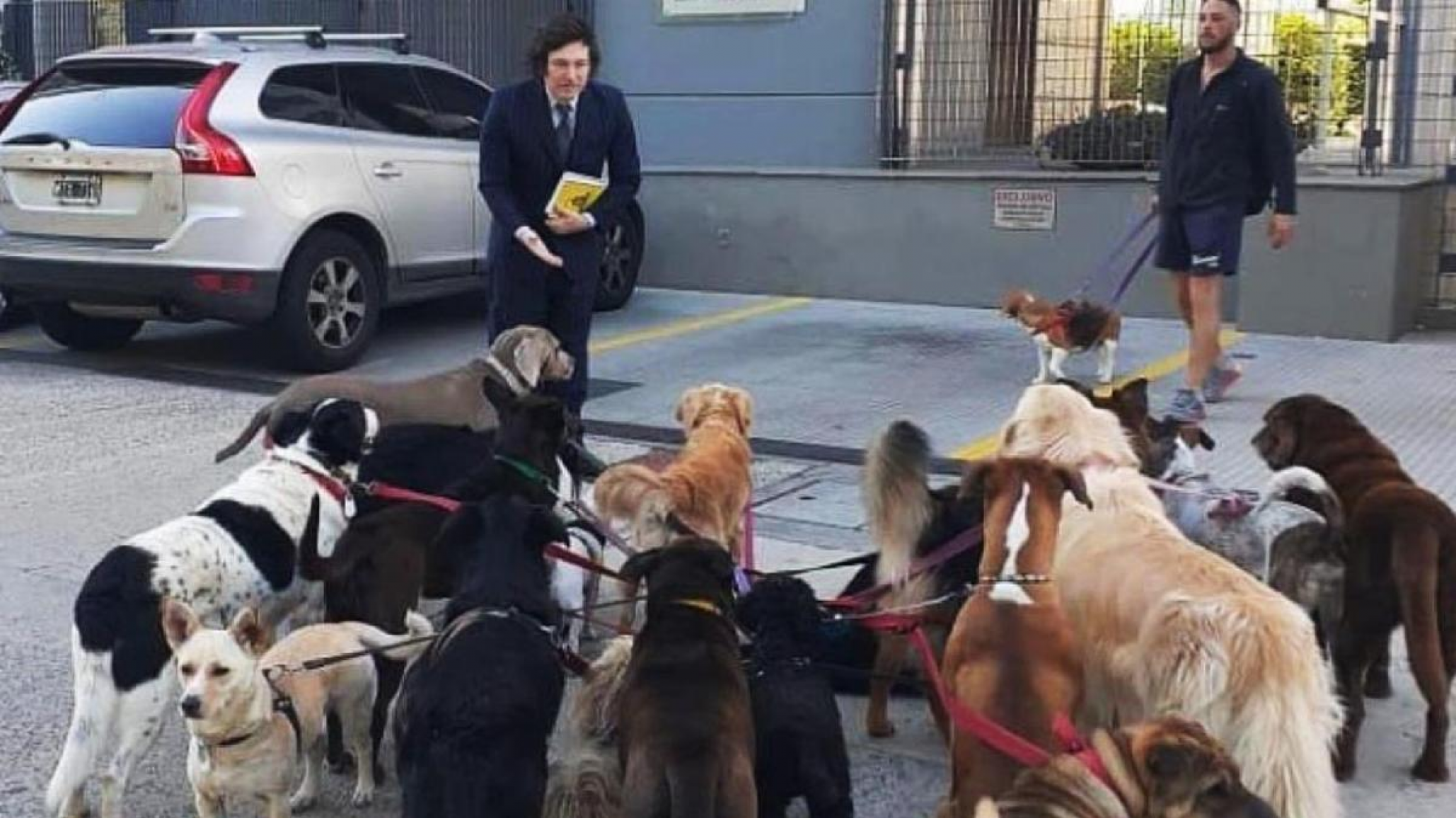 "Si Milei tanto quiere a sus mascotas, debería ayudar a este sector": La Cámara de Nutrición Animal no da más