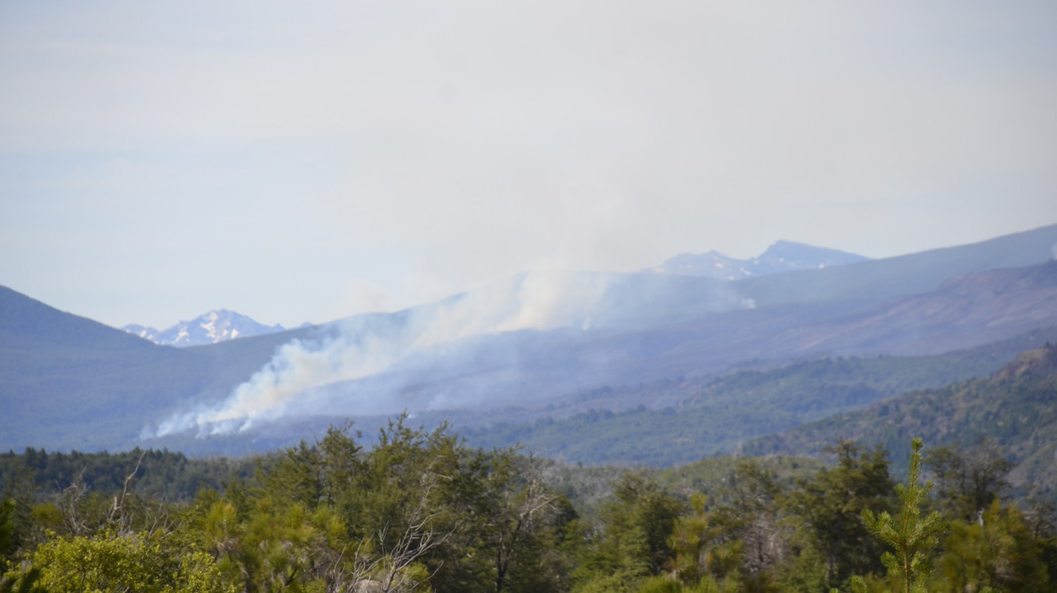 Continúa el combate contra el incendio forestal en el Parque Nacional "Los Alerces"