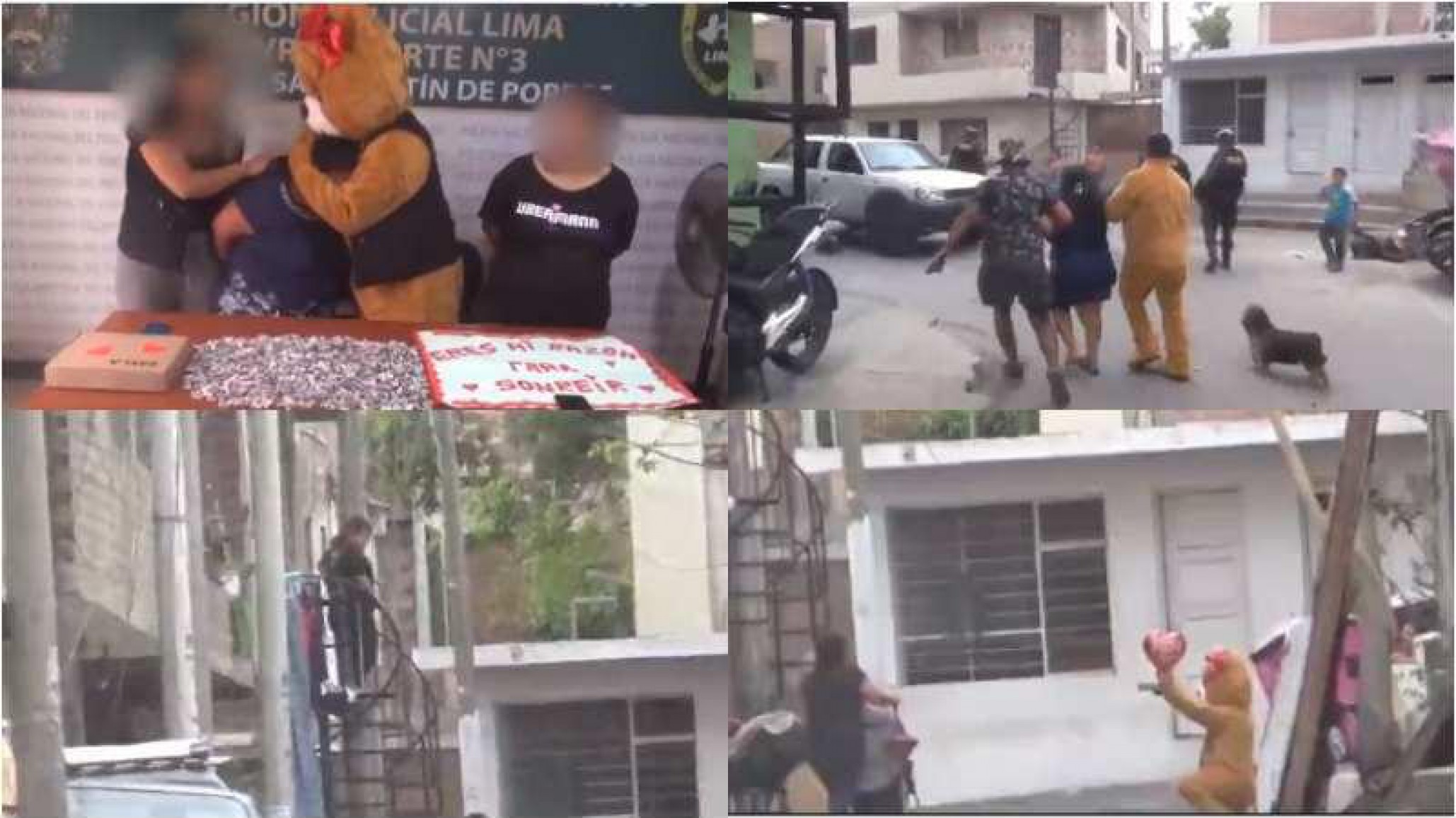 Así policía se disfrazó de oso para capturar a 'la tóxica' y 'la romántica' el día de los Enamorados