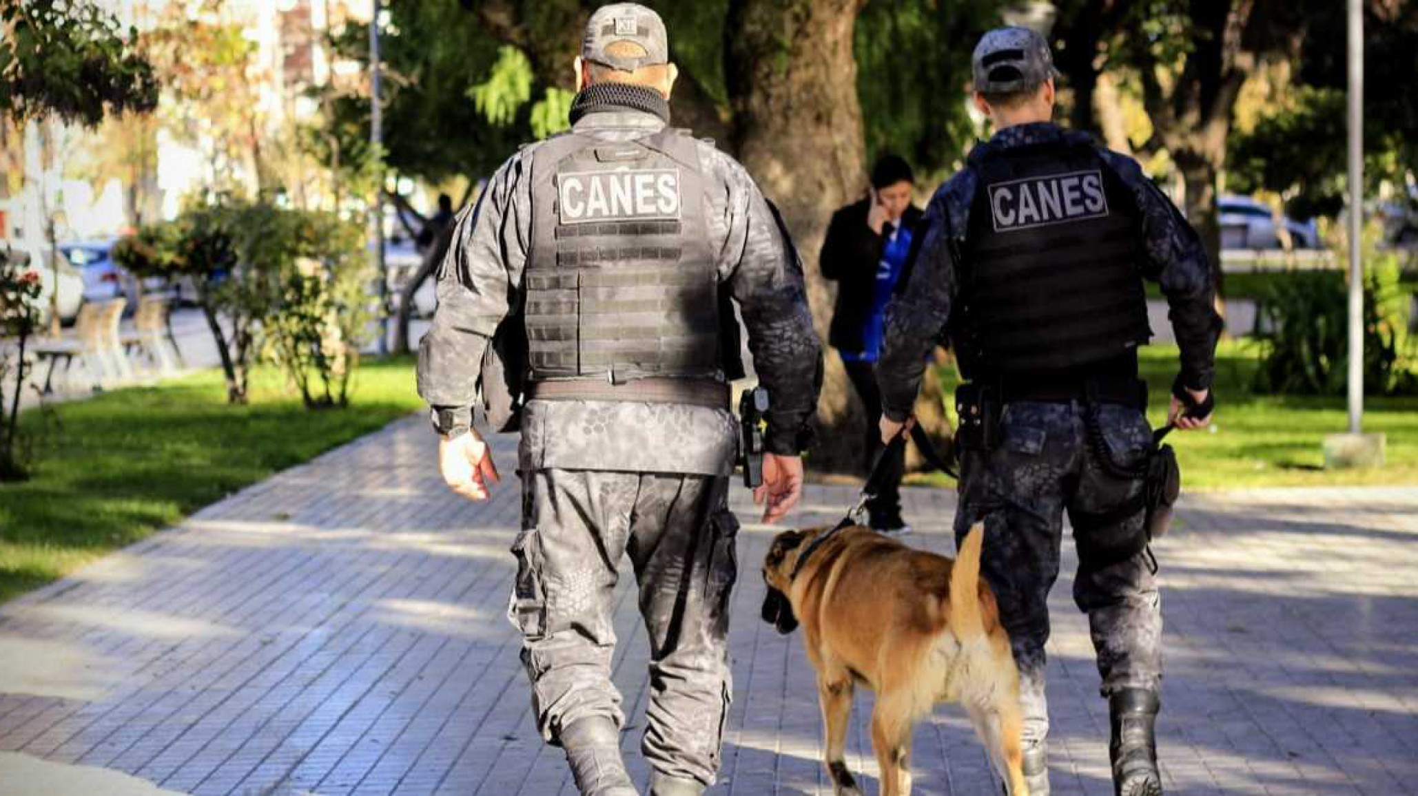 La Legislatura aprobó por mayoría el proyecto de comando unificado para combatir la inseguridad convocando a fuerzas nacionales