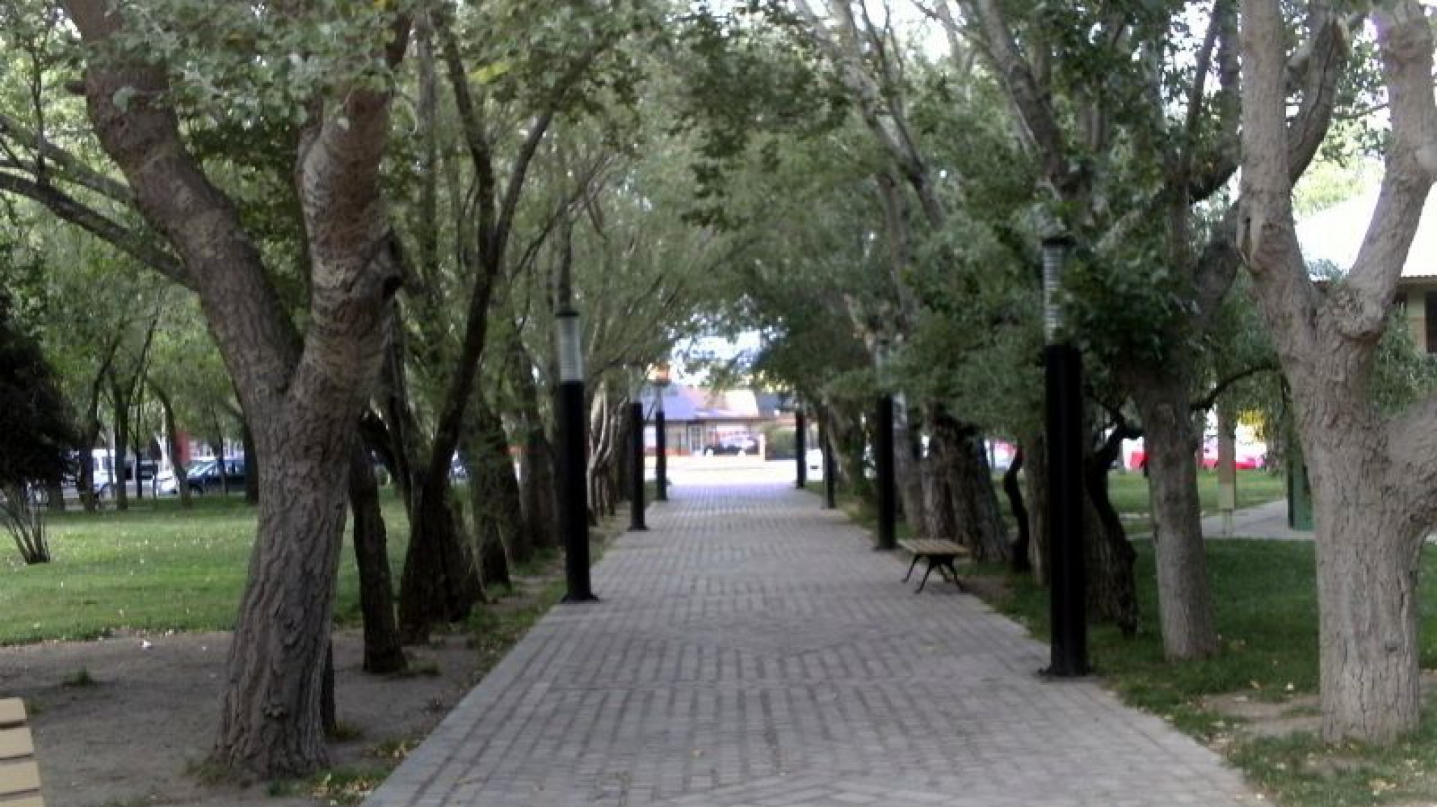 Quisieron robarle la cartera y sus amigas la defendieron a los “carterazos”