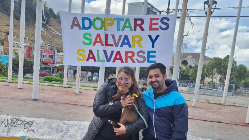 "¡Ni el viento nos frenó!": la jornada de adopción fue un éxito en la Plaza de Las Torres