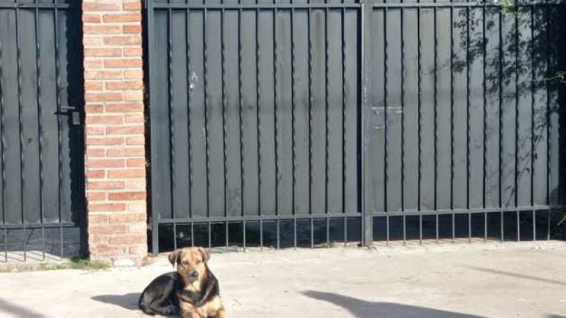 Balearon a un adolescente de 14 años mientras abría el portón de su casa