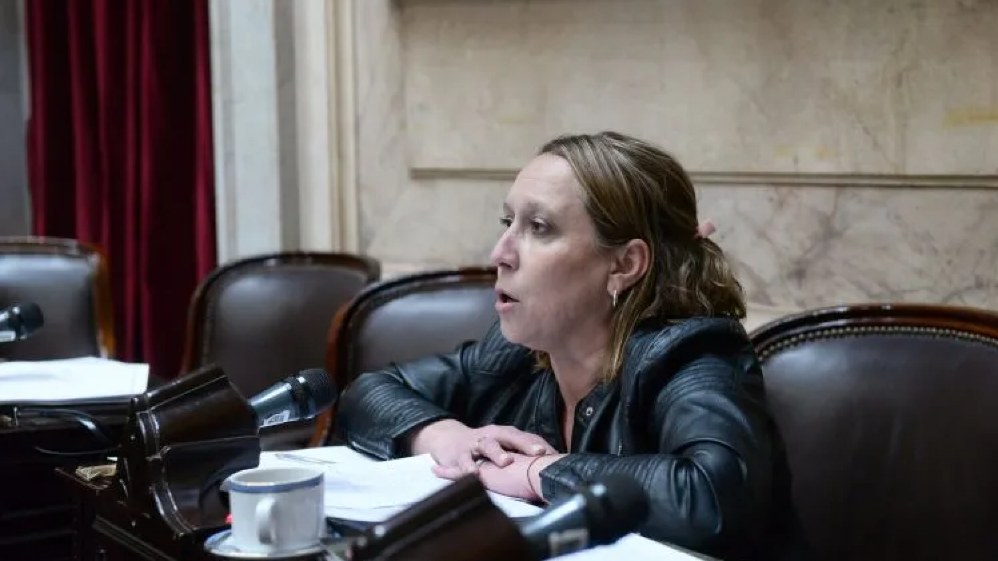 Diputada Eugenia Alianiello: "Darle un cheque en blanco a un presidente que ha sido muy duro con las provincias es terrible"