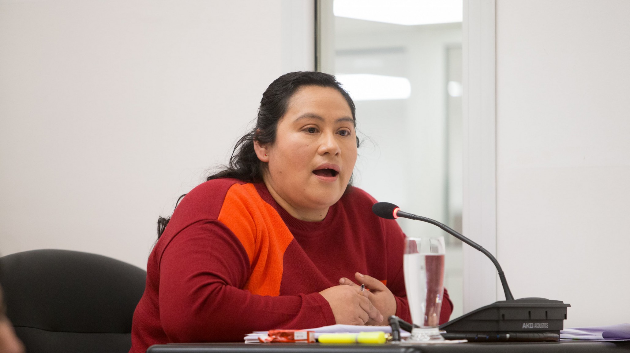 Preocupación por equinos sueltos: ¿De qué se trata el proyecto de ordenanza en marcha?