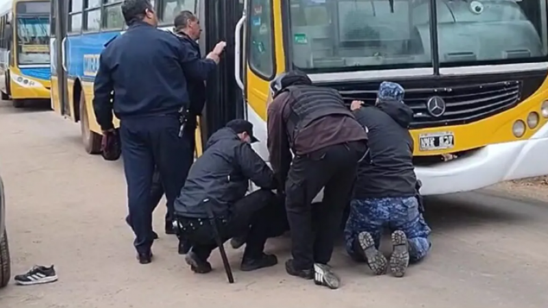 Un chofer se lanzó bajo el colectivo porque fue suspendido: "Soy el sostén de mi familia"