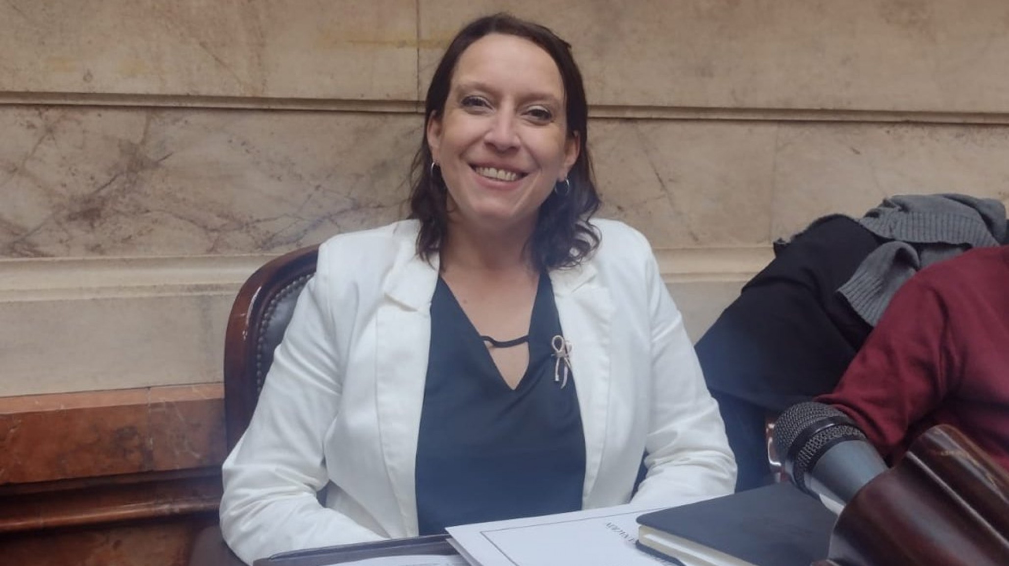 Eugenia Alianello sobre la falta de Quórum en la cámara: "Es una provocación contra el 'Nunca Más'"