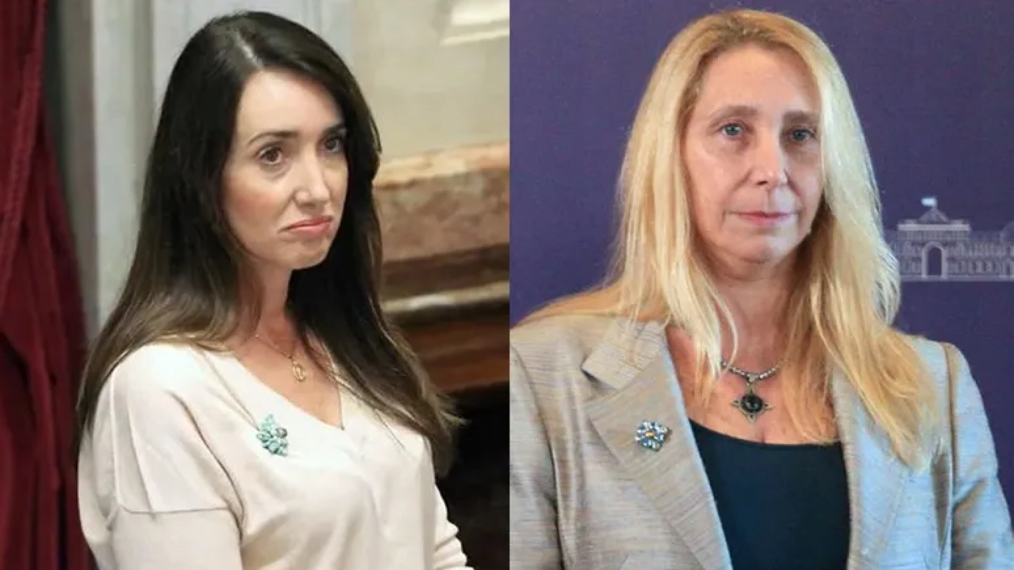 Karina Milei tuvo que pedir disculpas a Francia por los dichos de Villarruel