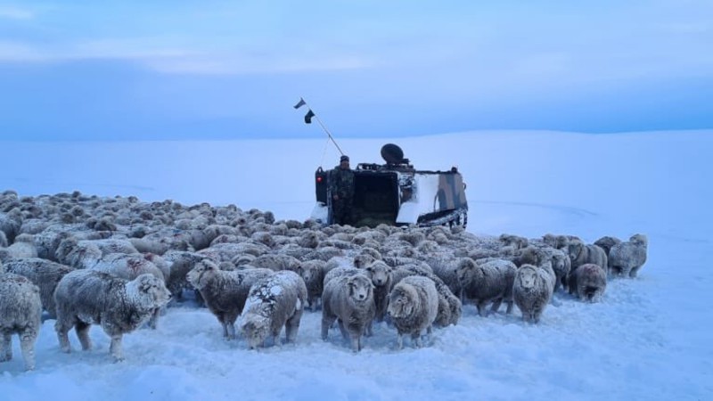 La Sociedad Rural le respondió al gobernador Torres y le pidió medidas urgentes para el sector