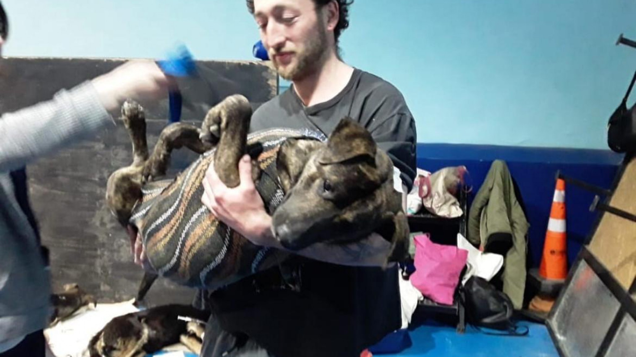 ALMA castró y vacunó a más de 70 mascotas en el barrio Juan XXIII