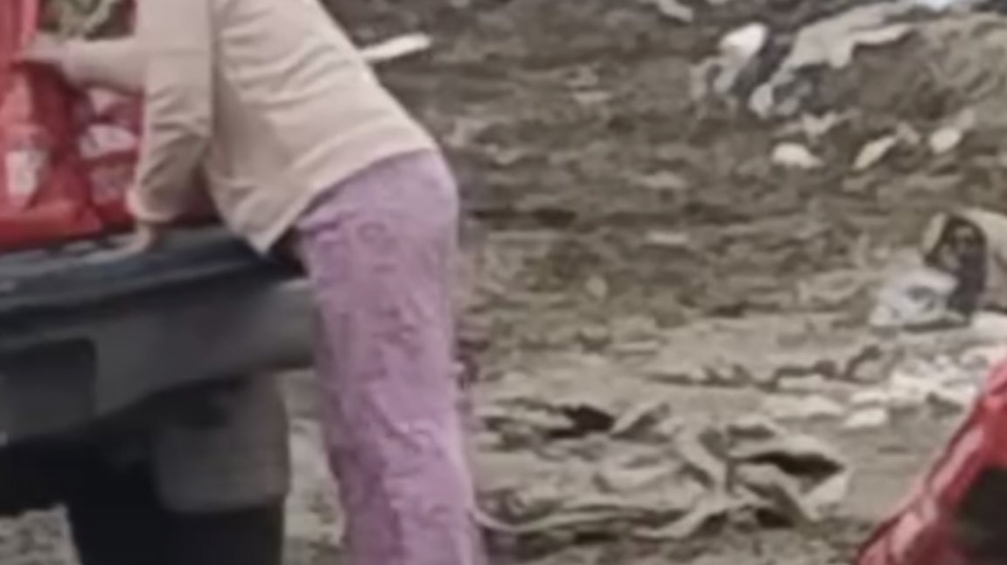 Comodoro: Multa millonaria a la mujer que arrojó basura en la zona del crematorio