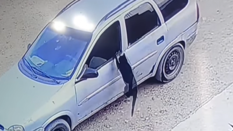 "Negro" se subió al auto de un cliente y apareció tras días de búsqueda viral