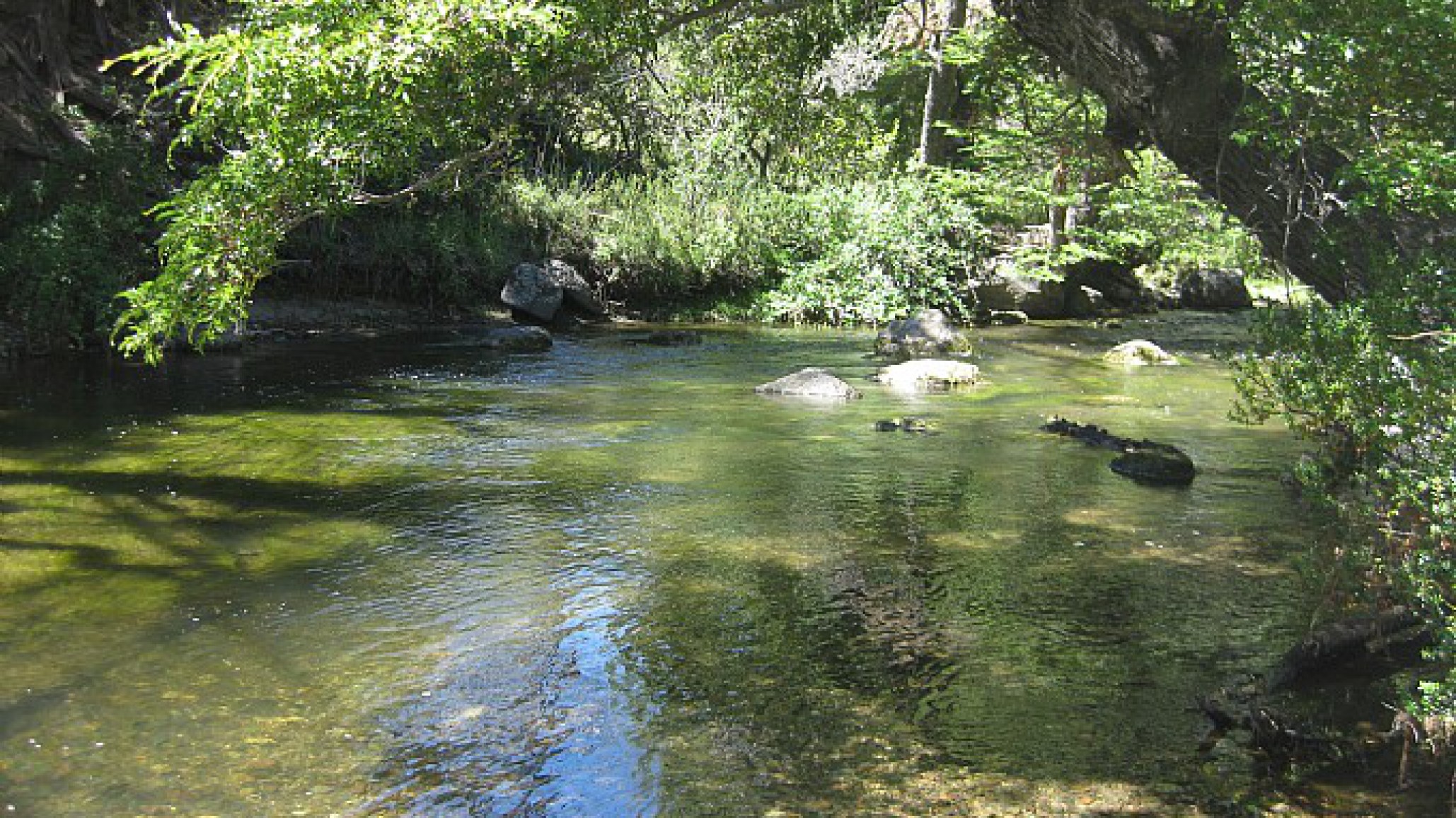 Tragedia: Niño de dos años murió tras caer al Río Nant y Fall