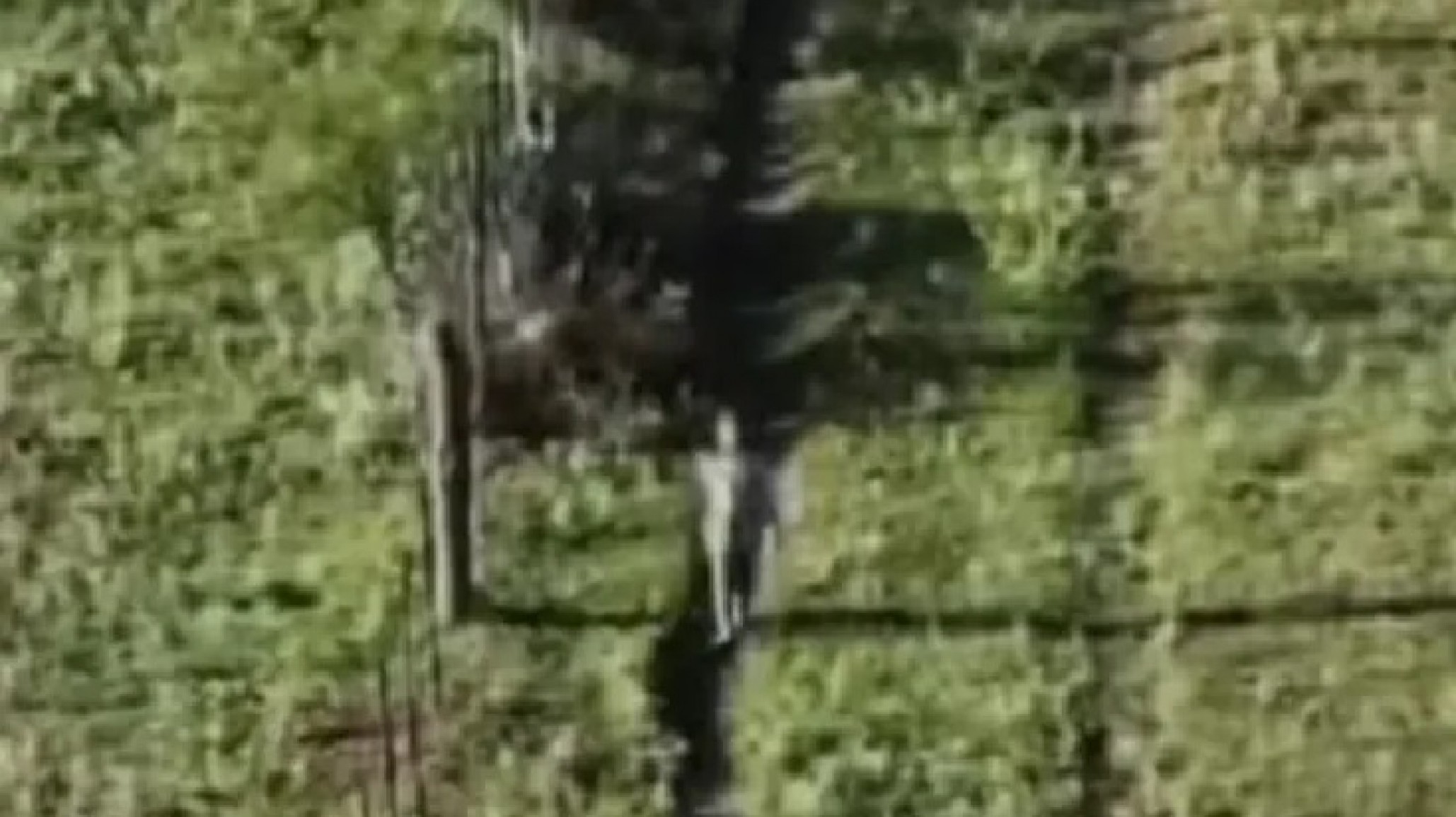 Milagro en La Pampa: Hallaron a una niña de 3 años perdida con ayuda de un dron