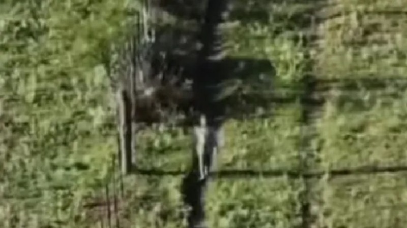 Milagro en La Pampa: Hallaron a una niña de 3 años perdida con ayuda de un dron