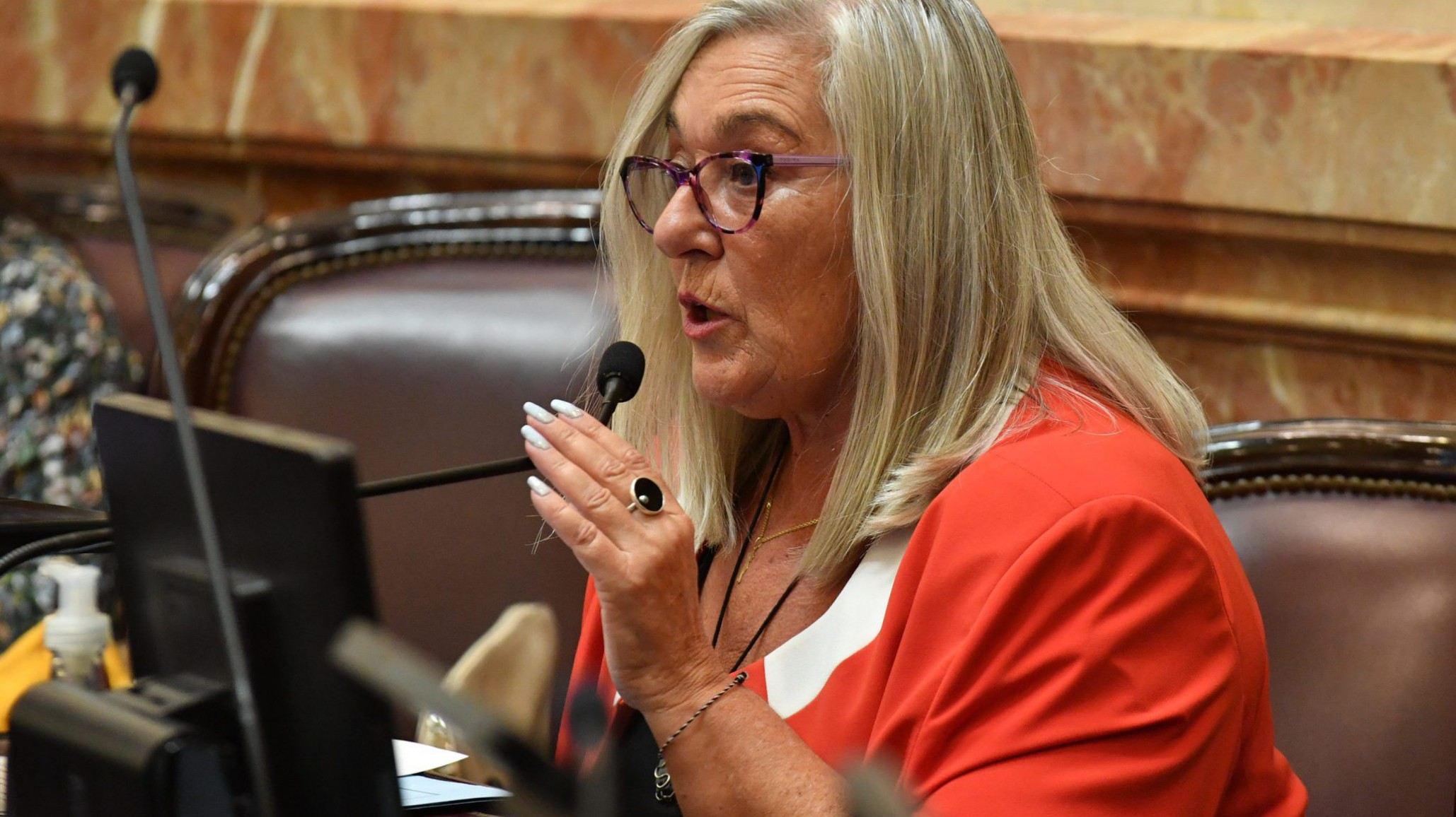 La senadora nacional por Chubut, Terenzi, aseguró que acompañará el proyecto contra la ludopatía juvenil