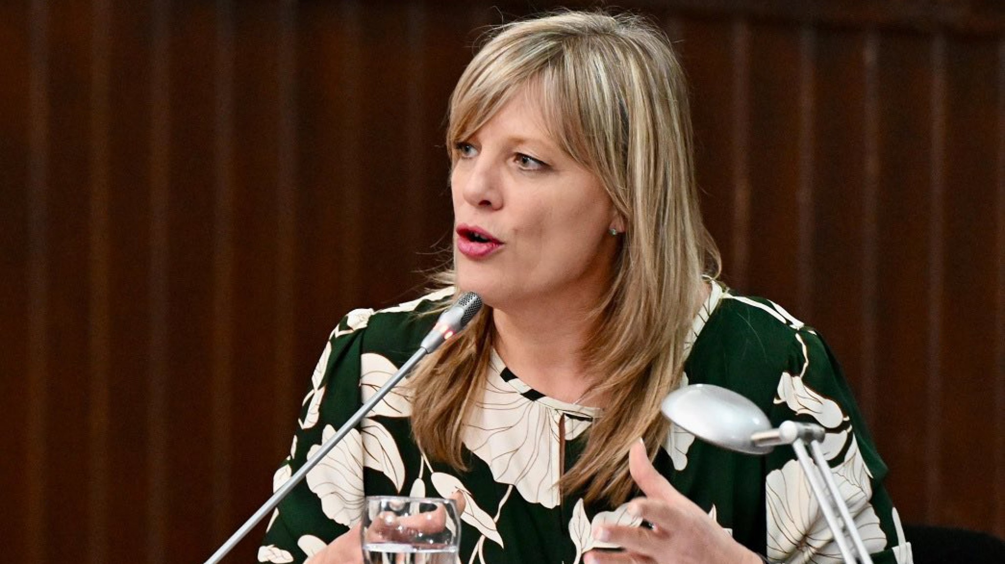 Diputada Vanesa Abril sobre la aprobación del Presupuesto 2025: "El aumento de aporte a Seros debe retirarse porque tiene ley propia"