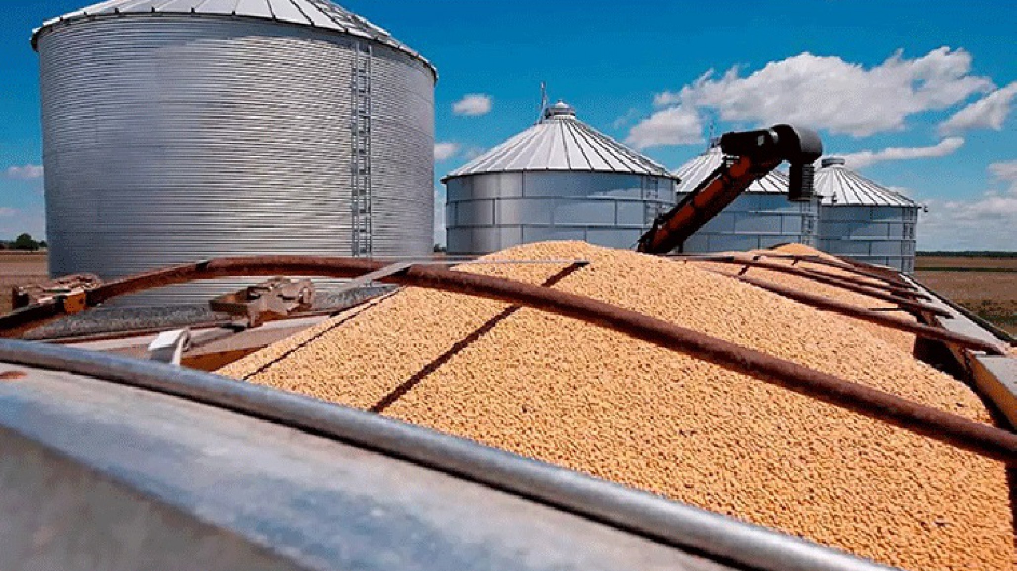 Tragedia en el campo: un niño de 9 años murió asfixiado en un silo de soja