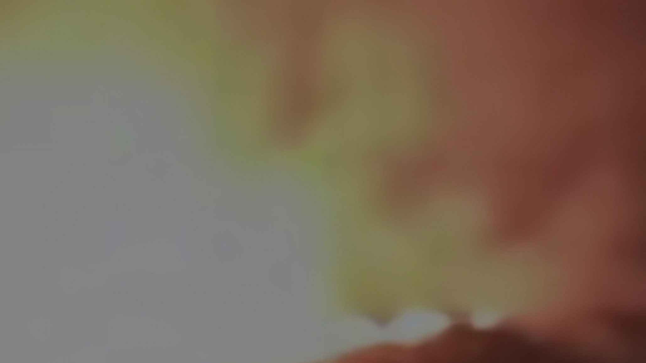 Estancia "Amancay": investigan incendio de camiones y maquinaria pesada