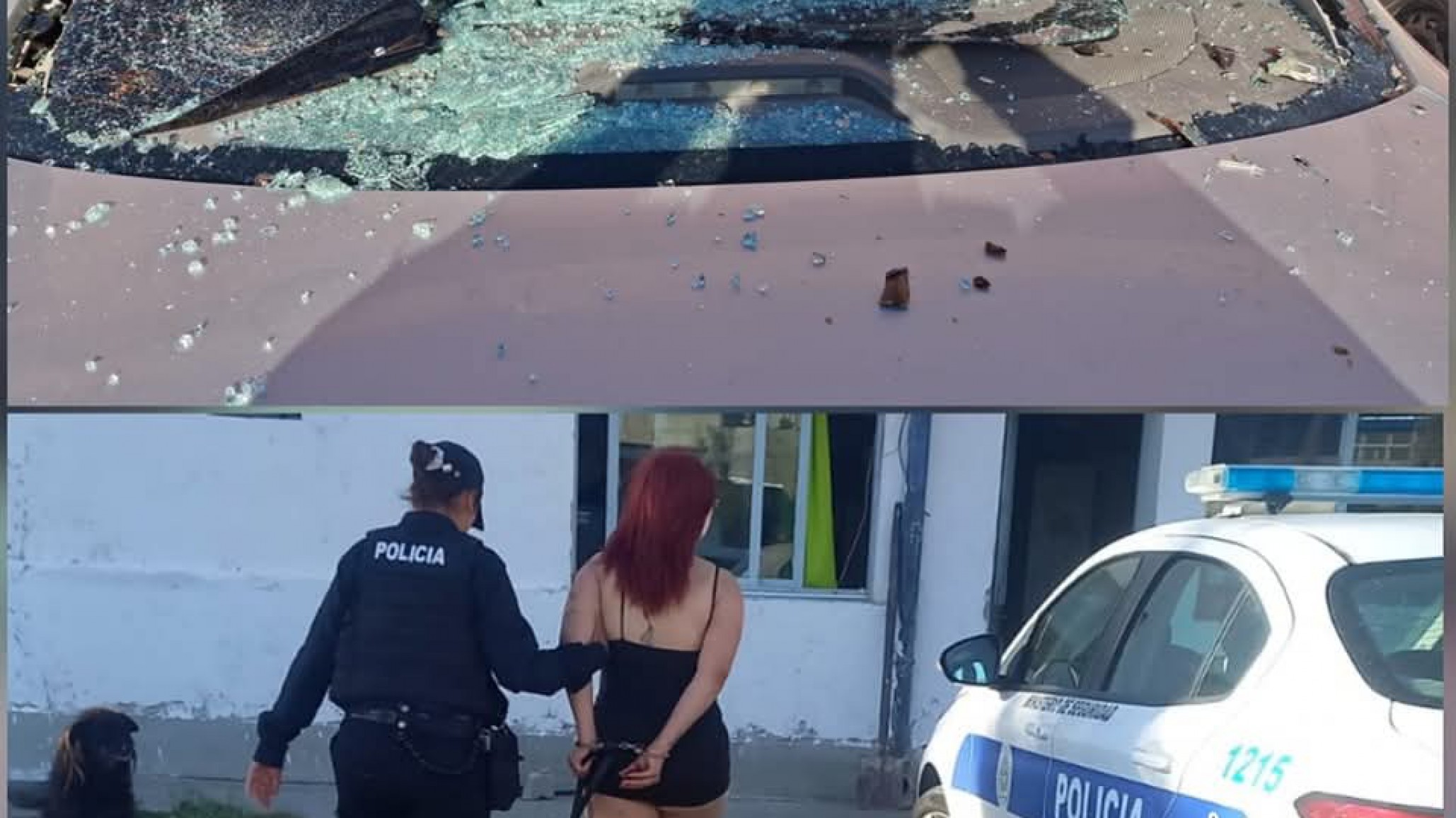 Una mujer fue detenida por destruir la luneta del auto de su expareja