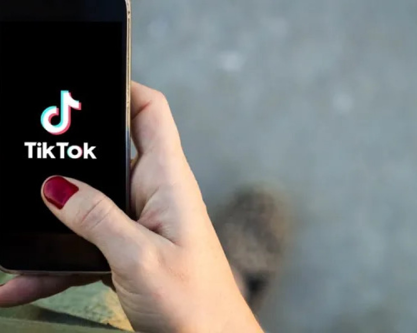Un hombre confesó el asesinato de su hija por sus videos en TikTok
