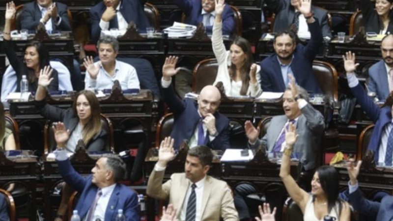Suspensión de las PASO: cómo votó cada diputado en la Cámara Baja