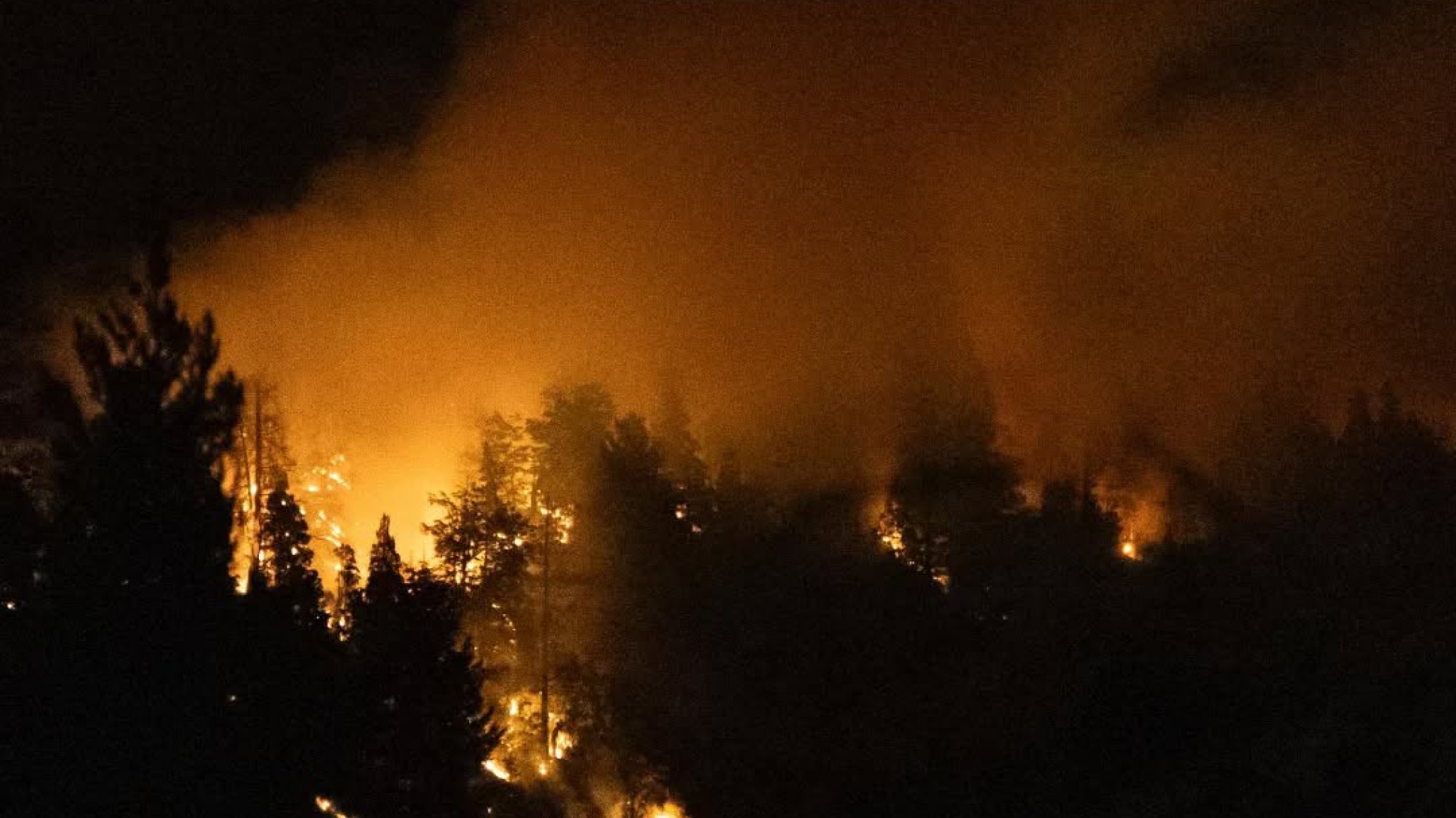 Mariano Sylvester: "Es evidente que fue intencional y organizado con distintos focos en simultáneo"