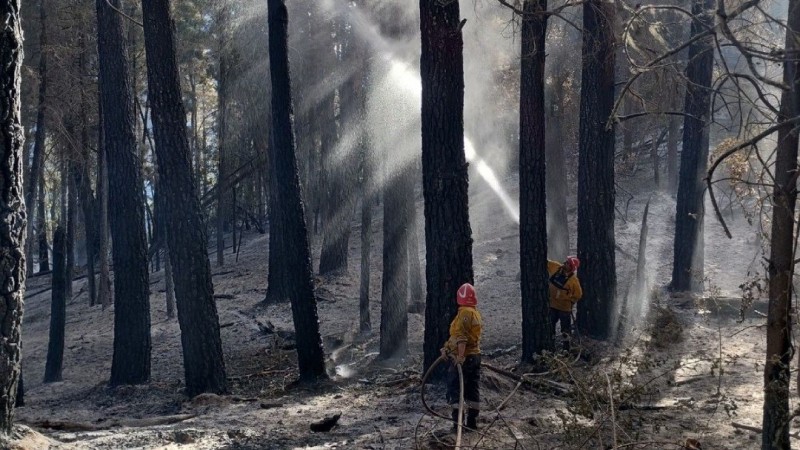 El incendio en El Pedregoso fue controlado