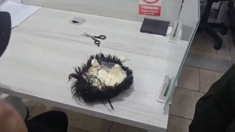 "Narcopeluca" cayó en Cartagena: Un hombre intentó volar a Ámsterdam con cocaína oculta