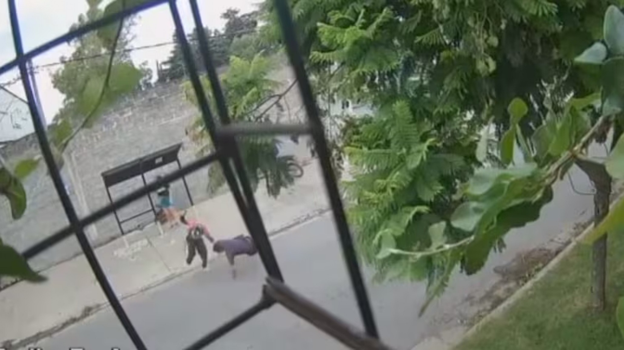 Horror: dos motochorros asesinaron a un joven de 21 años frente a su pareja y su hijo