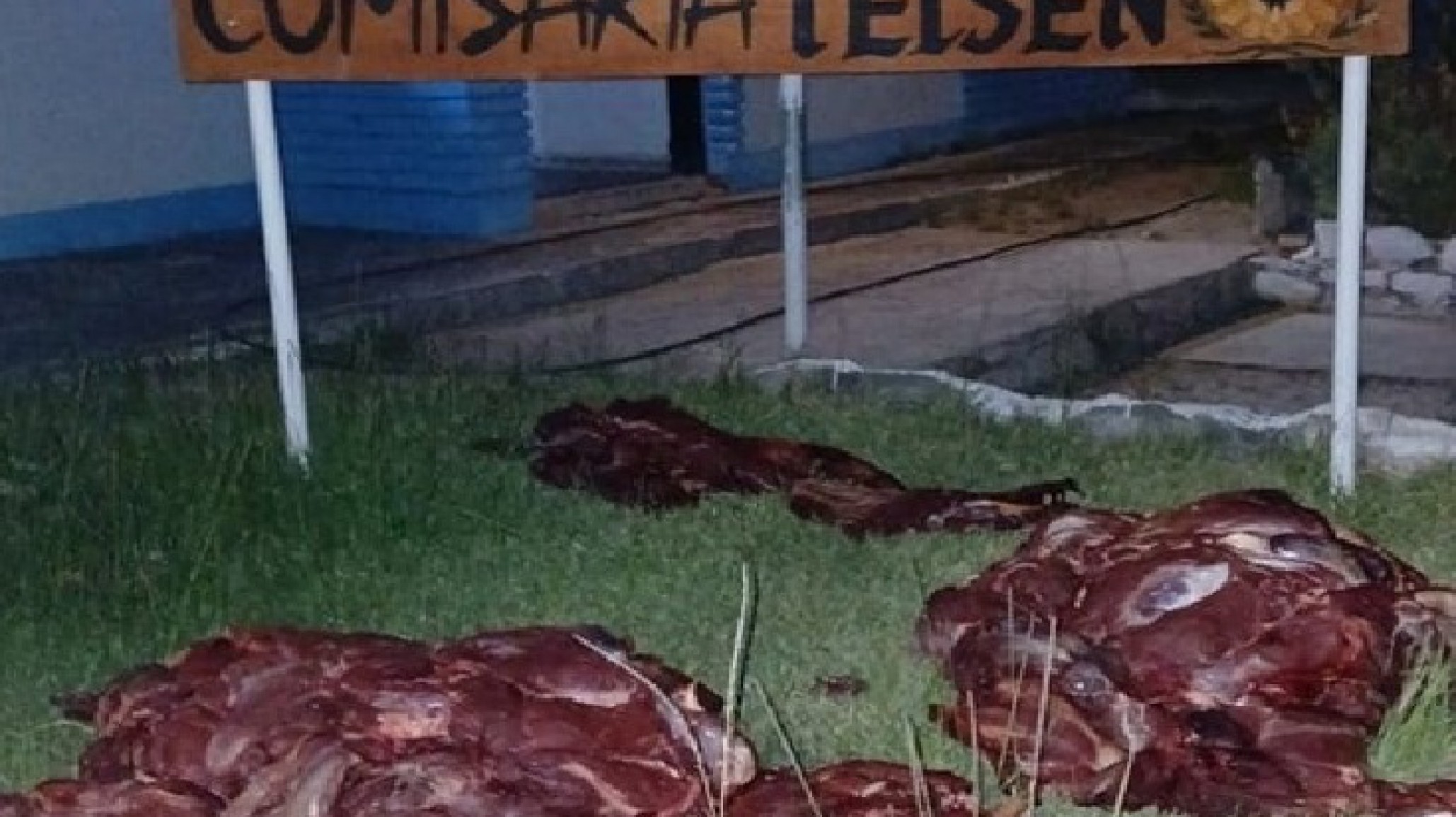 Decomisan 250 kilos de carne de guanaco en un control de ruta cerca de Telsen