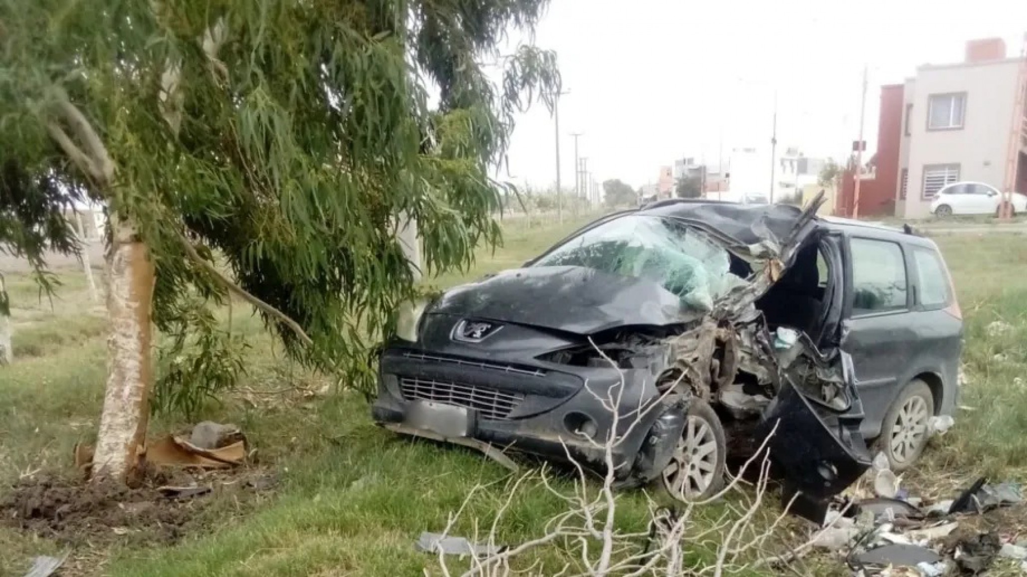 Tragedia en Ruta 1: Un hombre murió tras volcar con su auto en Viedma