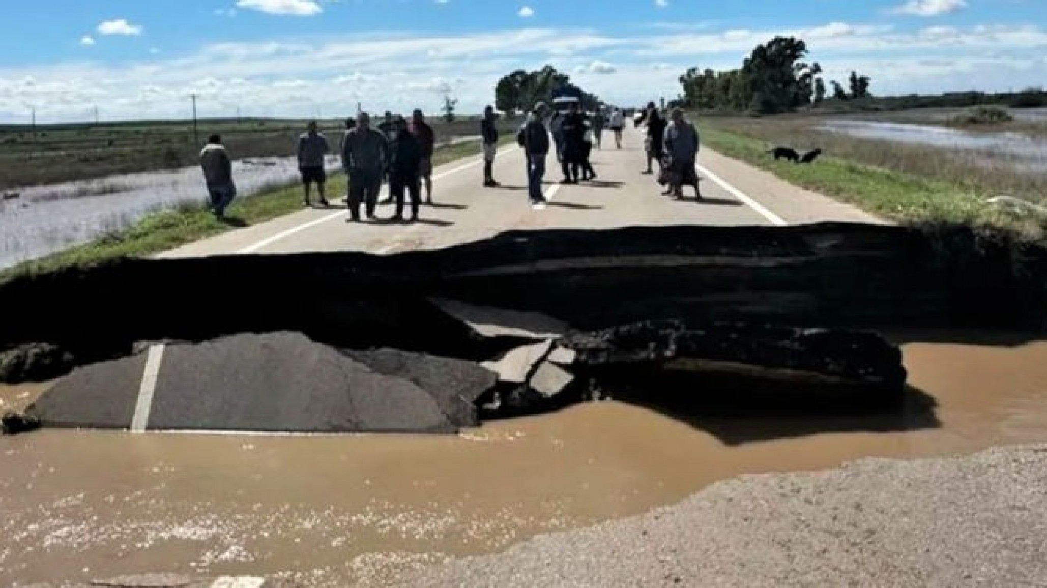 Alerta vial: El sindicato denunció el "vaciamiento" de Vialidad Nacional y la posible privatización