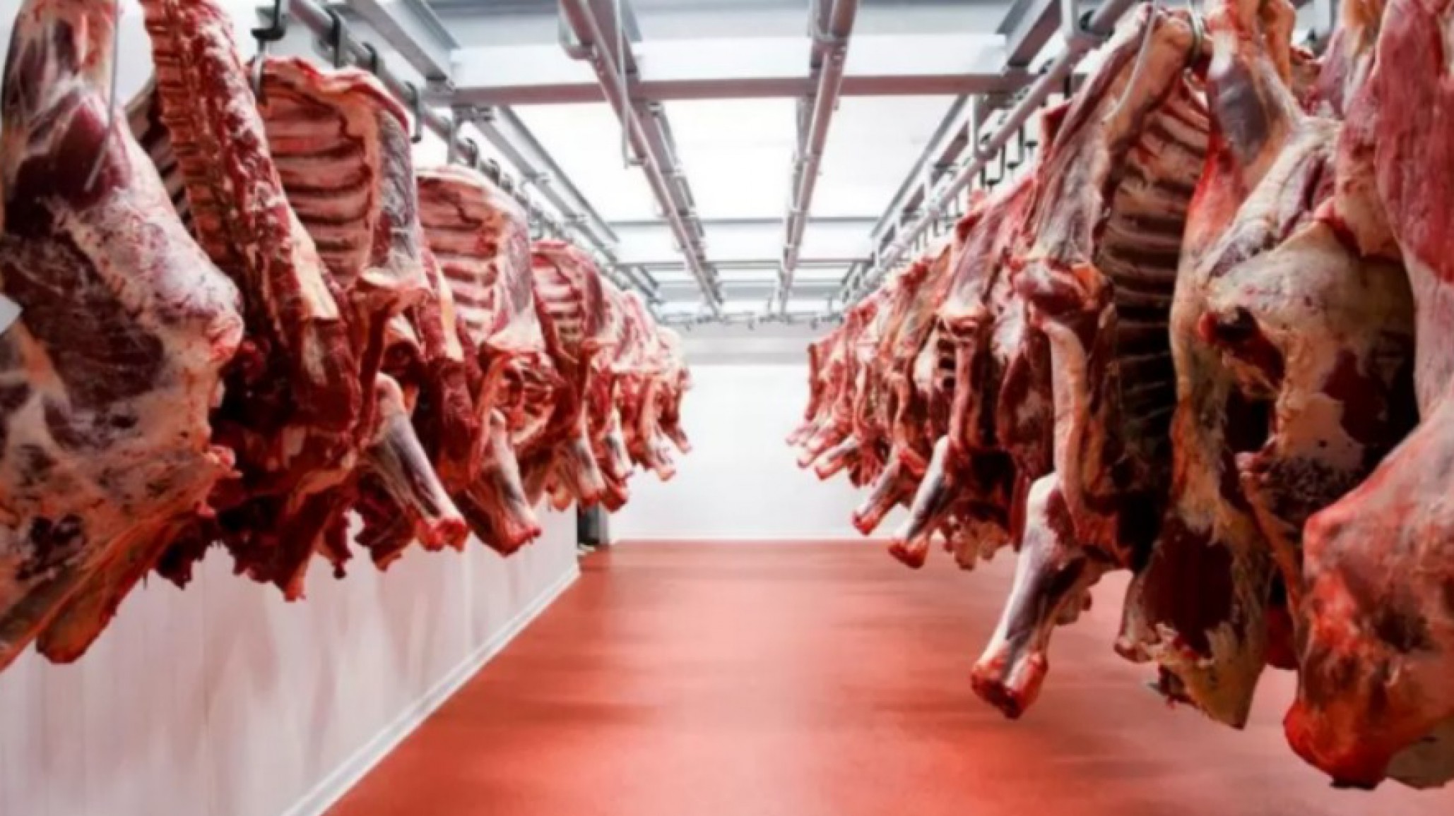 Se viene el asado con hueso brasileño: ¿Te animarías a comprarlo?