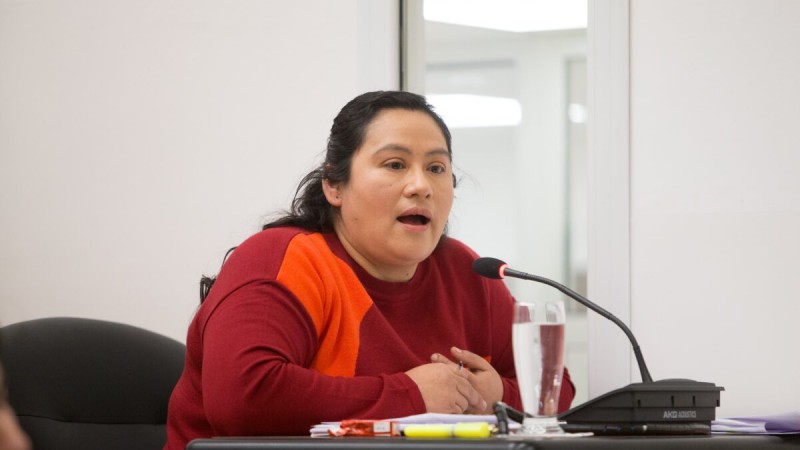 La concejal Mariela Aguilar advirtió demoras para aplicar la ordenanza sobre equinos sueltos: "Hoy no se está cumpliendo con situaciones que no son tan complejas de resolver"