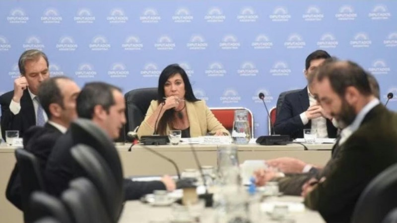 Diputados vuelve a debatir la baja de imputabilidad: buscan llevarla de 16 a 14 años