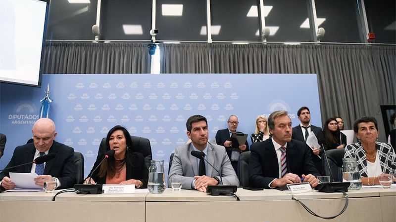 Alianiello criticó el dictamen para bajar la edad de imputabilidad: "merece un trabajo serio y responsable"