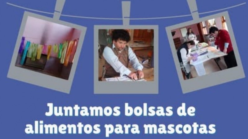 Campaña solidaria: recolectan bolsas de alimentos para mascotas y ayudan a jóvenes con discapacidad