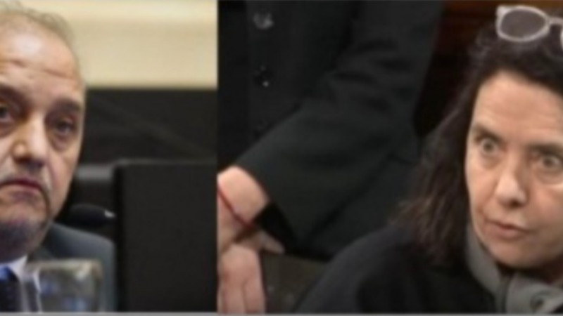 Linares apuntó contra la senadora del PRO por sus dichos sobre el Garrahan: "Es peligroso porque es ideológico"