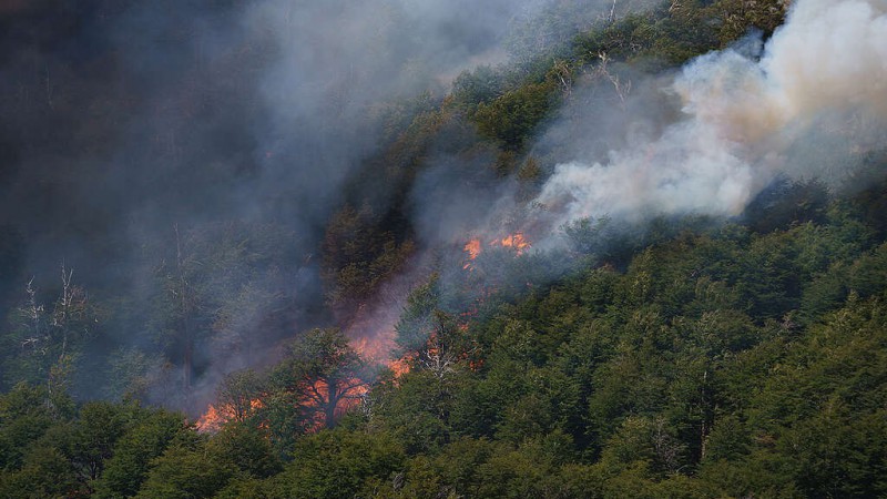 Alerta por peligro de incendios forestales: Chubut entre los avisos