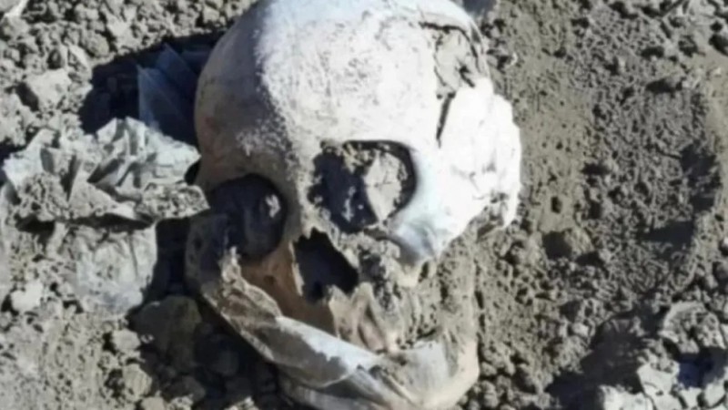 Hallan un cráneo humano en un área rural de Las Heras y se investiga su origen