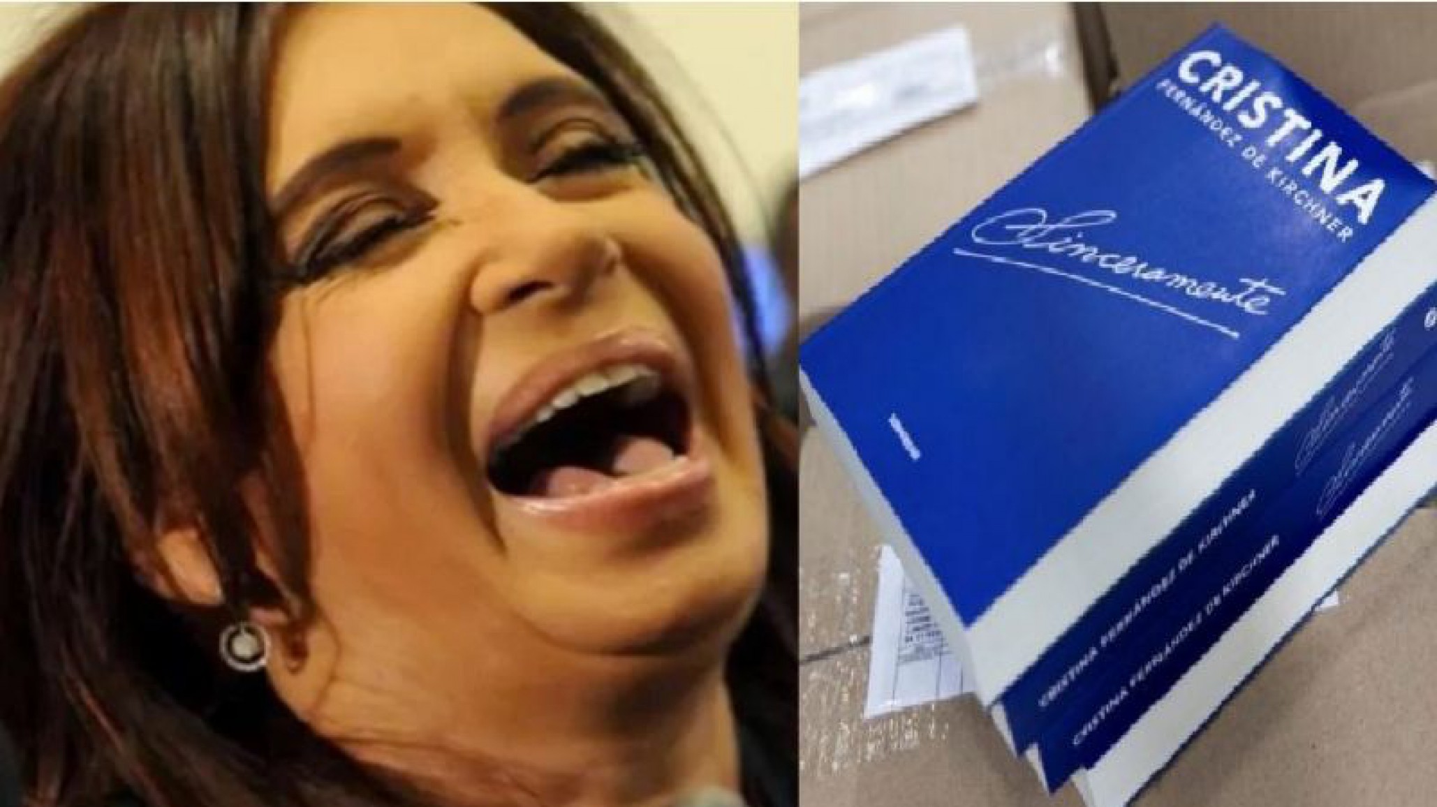 Cristina vendría a Comodoro a presentar su libro después de las PASO