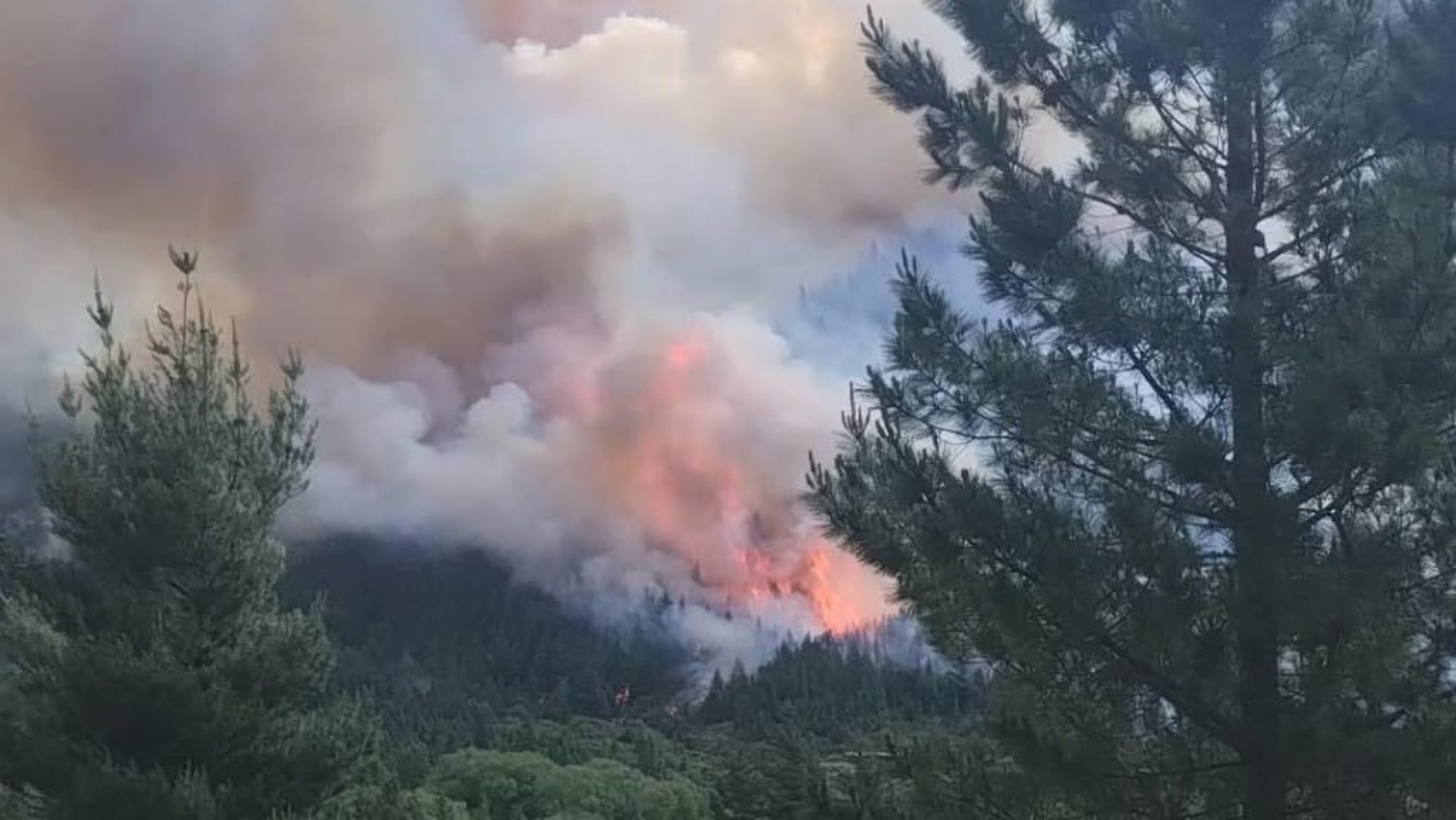 Incendio activo en Epuyén: brigadas y bomberos combaten un foco en zona de bosque