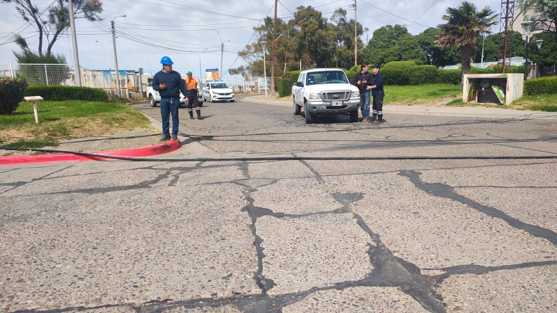 Peligro en Comodoro: se desplomo una palma de luz en la Costanera