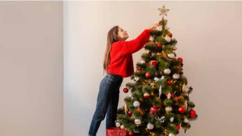 Adiós al pino... por los precios: la opción minimalista y barata que se impone esta Navidad